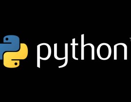 什么是python,什么是Python？