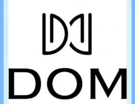 vue获取dom, 什么是 DOM 元素？