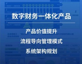 财政软件oracle,企业财政办理新时代的利器