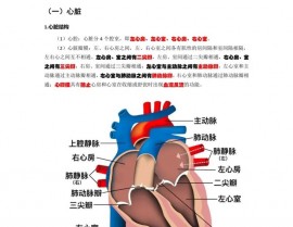 php 跳出循环, 循环结构概述