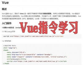 vue 自界说特点, 什么是Vue自界说特点？