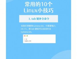 Linux2839867Z空间,空间优化与功能提高