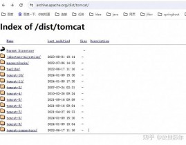 linux检查tomcat版别