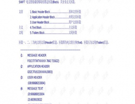 swift报文格局,SWIFT报文格局概述