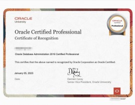 oracle收费规范,Oracle收费规范的全面解析