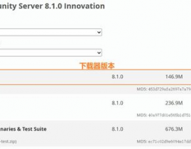 mysql下载及装置教程