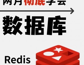 redis向量数据库,二、Redis向量数据库概述