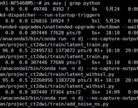 linux检查python进程,Linux环境下检查Python进程的有用办法