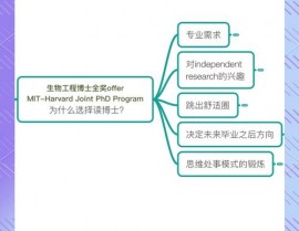 天池大数据比赛,应战与时机并存