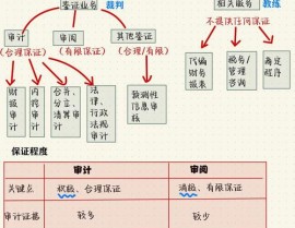 数据库审计功用,数据库审计概述