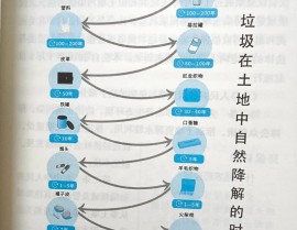 java废物收回机制,Java废物收回机制概述