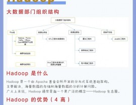 大数据hadoop,大数据处理的中心力气