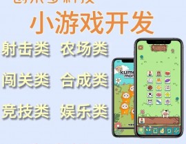 手机游戏开发软件,助力游戏开发者打造精彩著作