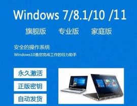 windows8.1专业版,体系之家官方网站官网