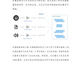 常用向量数据库,功用、运用与优势