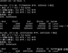 linux检查有几块硬盘,Linux体系下检查硬盘数量的办法详解