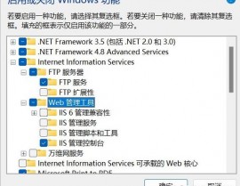 windows树立ftp服务器,Windows渠道下树立FTP服务器教程