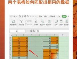 python中format函数的用法, 什么是format函数？