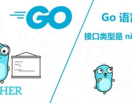 go接口,什么是Go言语的接口？