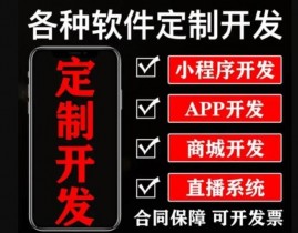 深圳手机app软件开发,立异驱动，引领未来