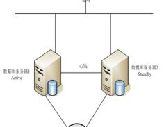 数据库主机,功用、类型与挑选攻略