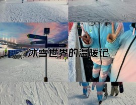 go ski,Go Ski 滑雪体会全攻略