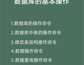 数据库根本操作,数据库根本操作概述