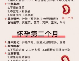 html中i标签,八、注意事项