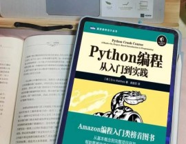 python运用,从入门到实践，探究编程国际的无限或许