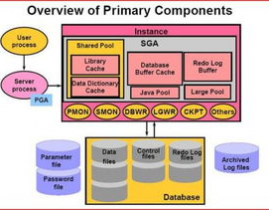 oracle什么意思,从古希腊神谕到现代技能巨子