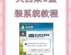 大白菜装置linux,简略易行的U盘发动装置教程