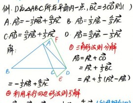 r言语for循环句子事例,根本语法与迭代整数向量