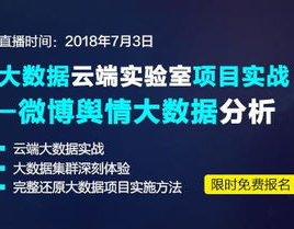 大数据项目实战,从数据搜集到可视化剖析的全进程