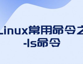 linux指令ls,什么是ls指令？