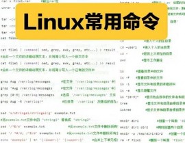 linux文件类型,Linux文件类型概述