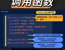 python函数调用, 什么是函数调用？