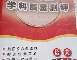 大数据学科质量测评卷电子版,立异教育评价东西