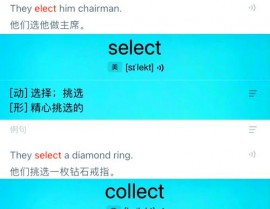 vue获取select选中的label值, 了解Select组件的根本用法