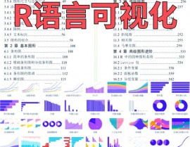 r言语 lapply,高效处理列表的利器