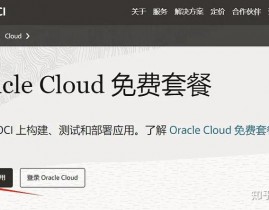 oracle云服务器永久免费,敞开云端新体验