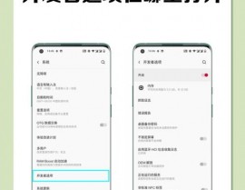 魅族手机开发者选项,功用、敞开办法及运用技巧