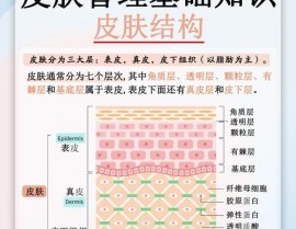 css半通明, 半通明作用的基础知识