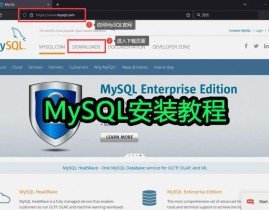 mysql数据库初始化,从装置到装备