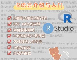 r言语 cor,深化解析及其运用