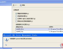 sqlserver数据库复原,SQL Server数据库复原概述