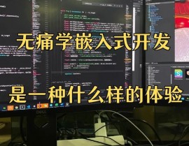 嵌入式程序规划,中心技能与运用实践