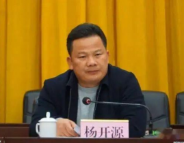 兴业县长杨开源,玉林市兴业县原县长杨开源承受纪律检查和督查查询