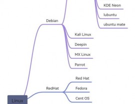 linux版别检查,检查Linux发行版版别