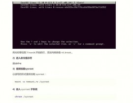 linux救援形式,什么是Linux救援形式？