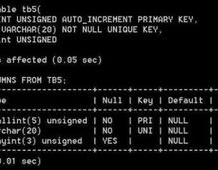 mysql添加字段的句子